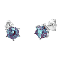 💎 Eternal Radiance Earrings